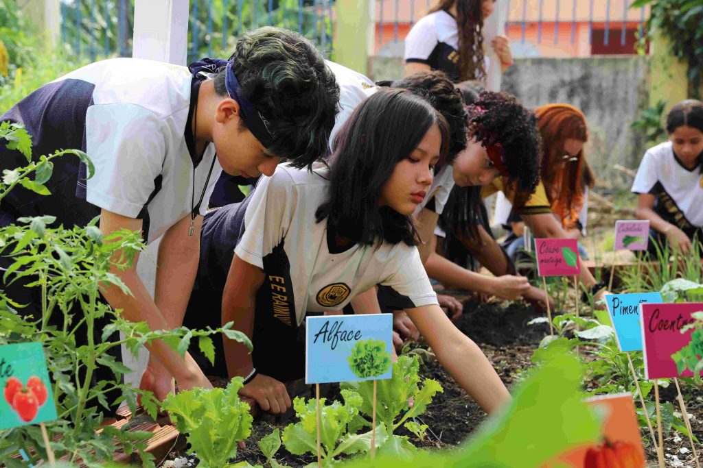 Educação_Horta Escolar_Plantando Sementes para Educação Ambiental_Foto_Eduardo Cavalcante