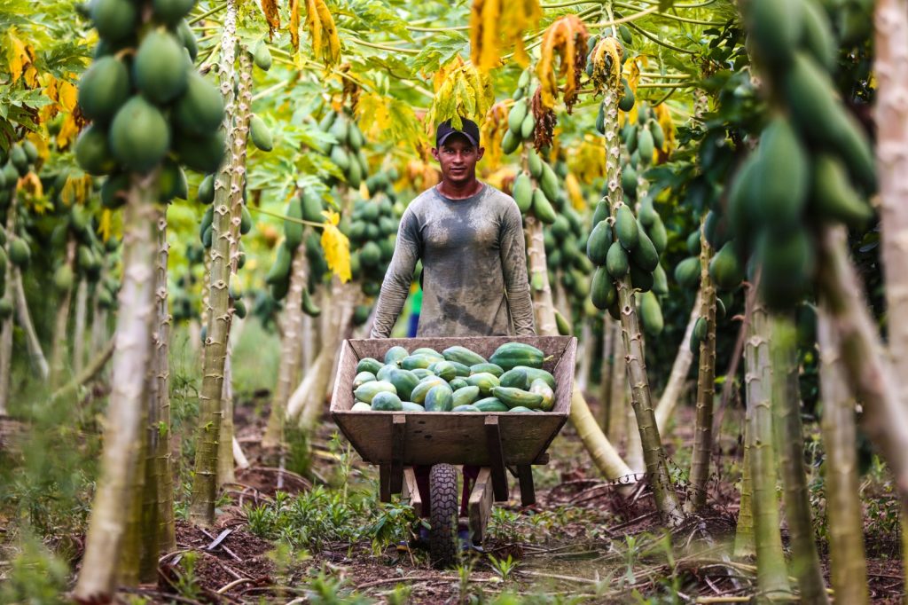 ADS - Governo do Amazonas divulga listas dos credenciados dos programas Preme e Promove 2024 -Foto Divulgação ADS 1